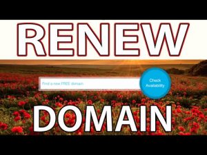 Read more about the article How to Renew Free Domain Name (Freenom.com)